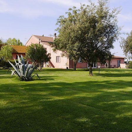 Agriturismo Giardini Di Varrone Ssa Grosseto Eksteriør billede